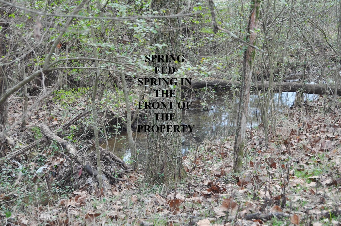 6343 Delina Road Petersburg, TN 37144 - Photo 26 of 30 Gallery Image 26