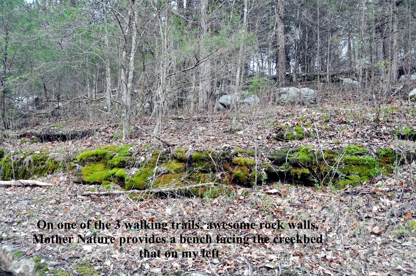 6343 Delina Road Petersburg, TN 37144 - Photo 10 of 30 Gallery Image 10