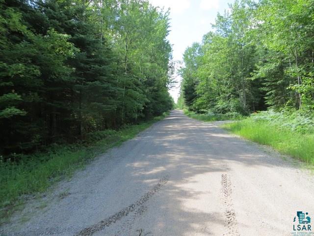 2238 Wakely Road Cook, MN 55723 - Photo 10 of 10