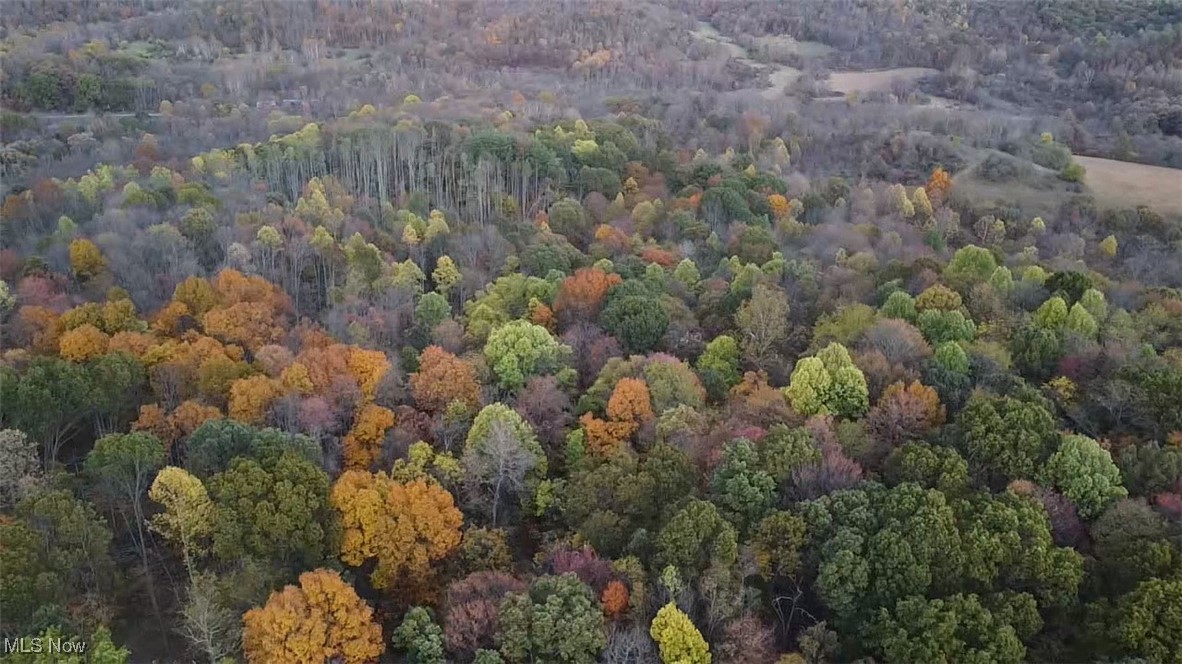 4277 Twin Sisters Road Cambridge, OH 43725 - Photo 16 of 27 Aerial view of property location with a forest
