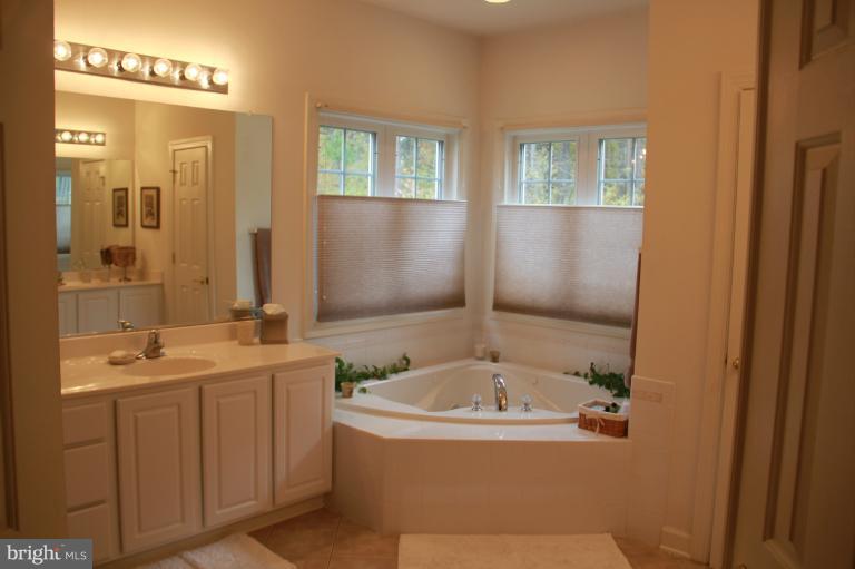 10807 Catron Road Perry Hall, MD 21128 - Photo 19 of 23 Bath (Master)