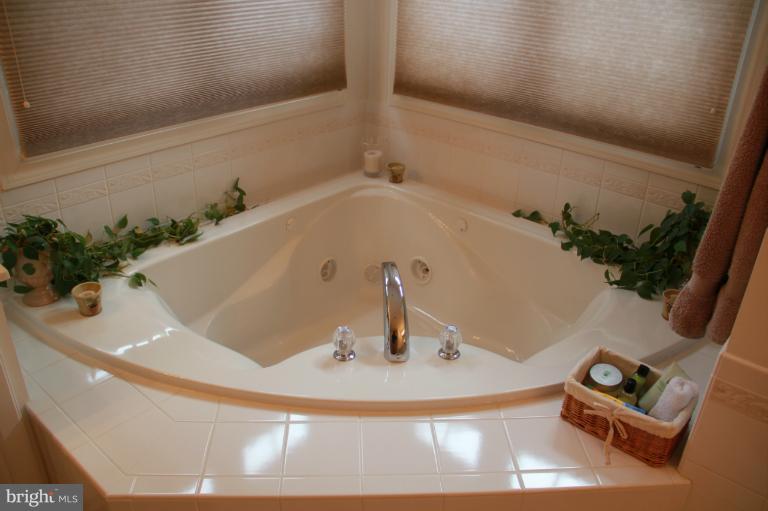 10807 Catron Road Perry Hall, MD 21128 - Photo 21 of 23 Bath (Master)