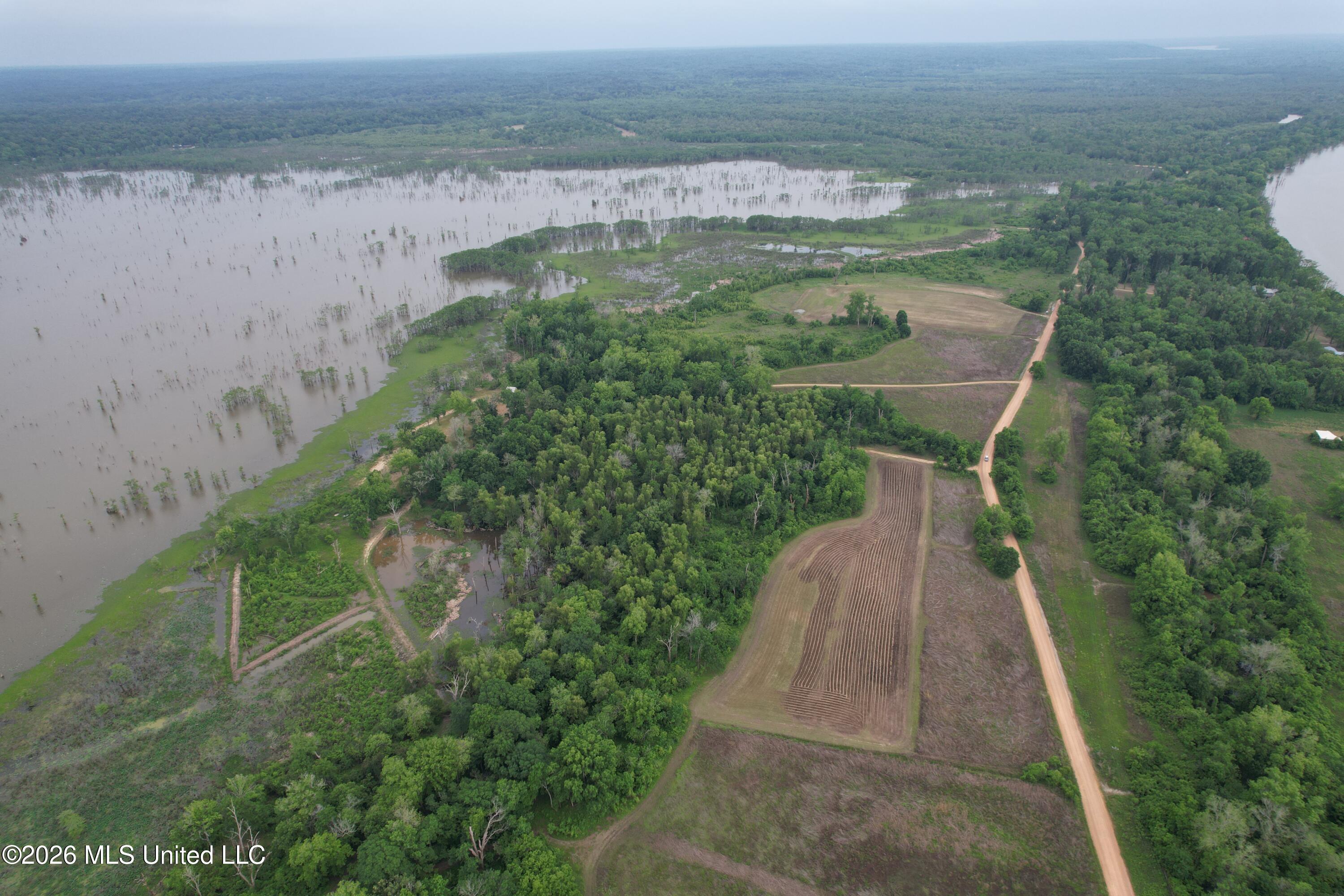 Lake Mary Road Woodville, MS 39669 - Photo 9 of 39 DJI_0965