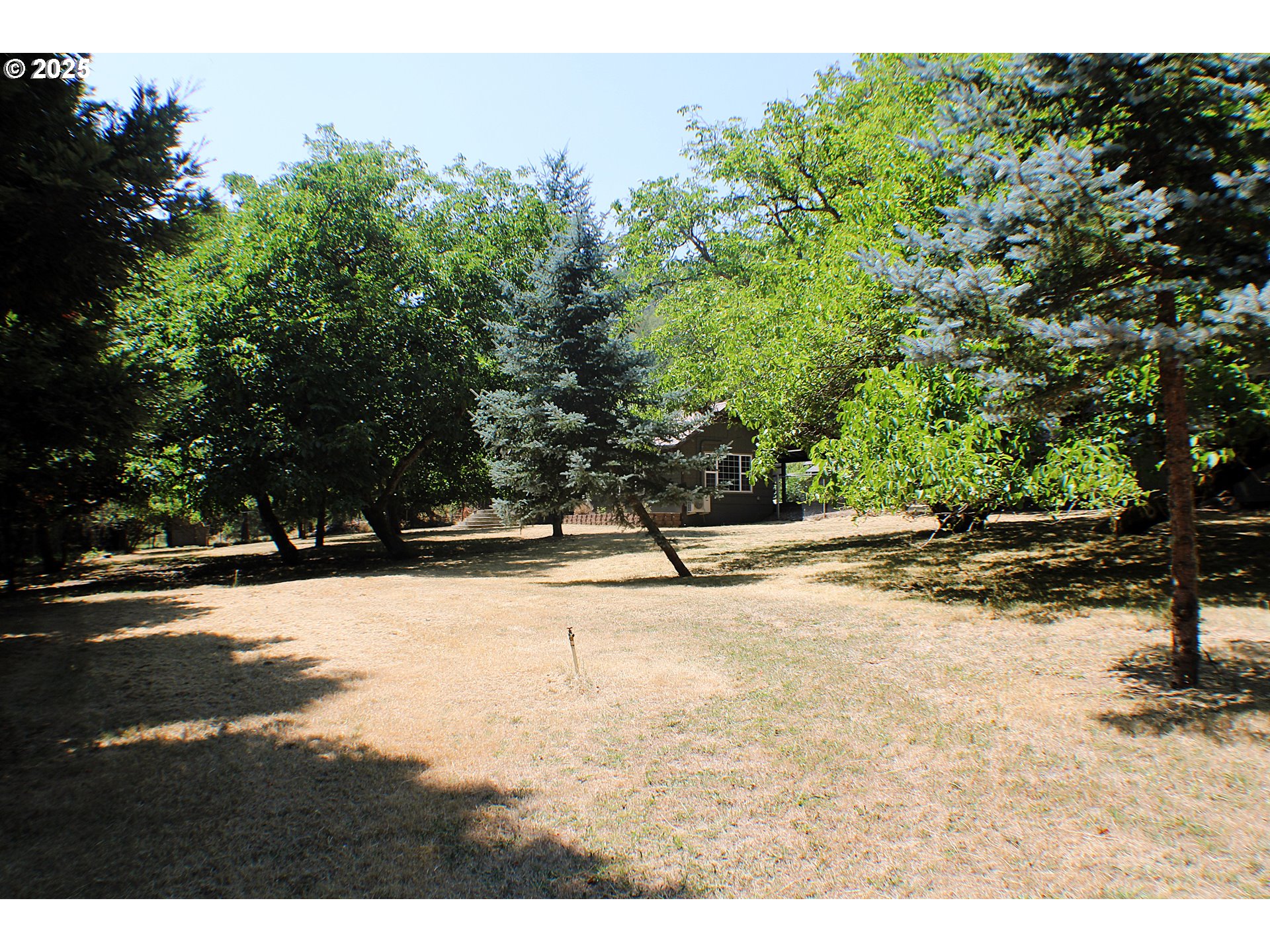 3450 Shoestring Road Riddle, OR 97469 - Photo 23 of 48 a view of a yard with a tree