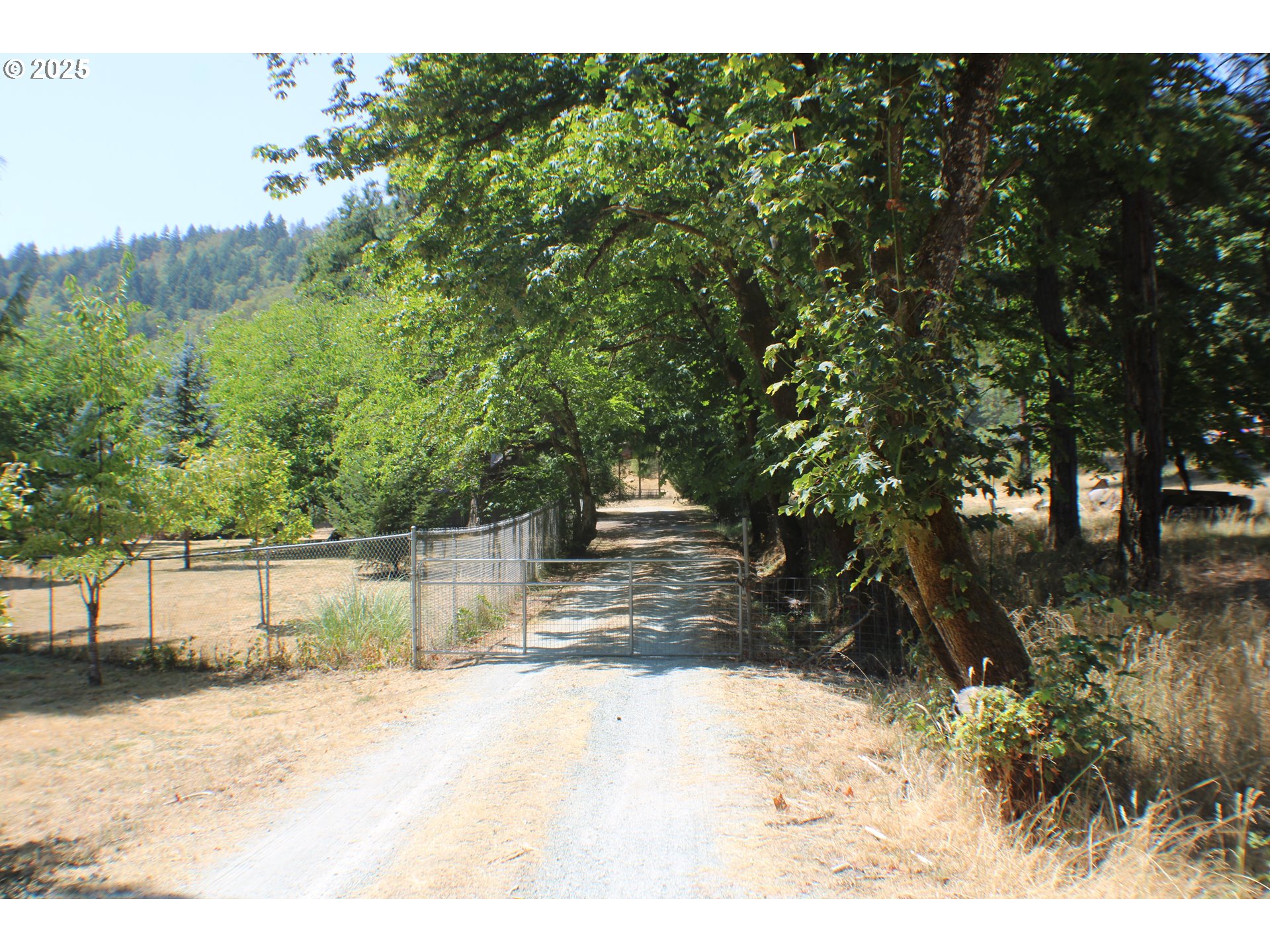 3450 Shoestring Road Riddle, OR 97469 - Photo 38 of 48 a view of a yard with a tree