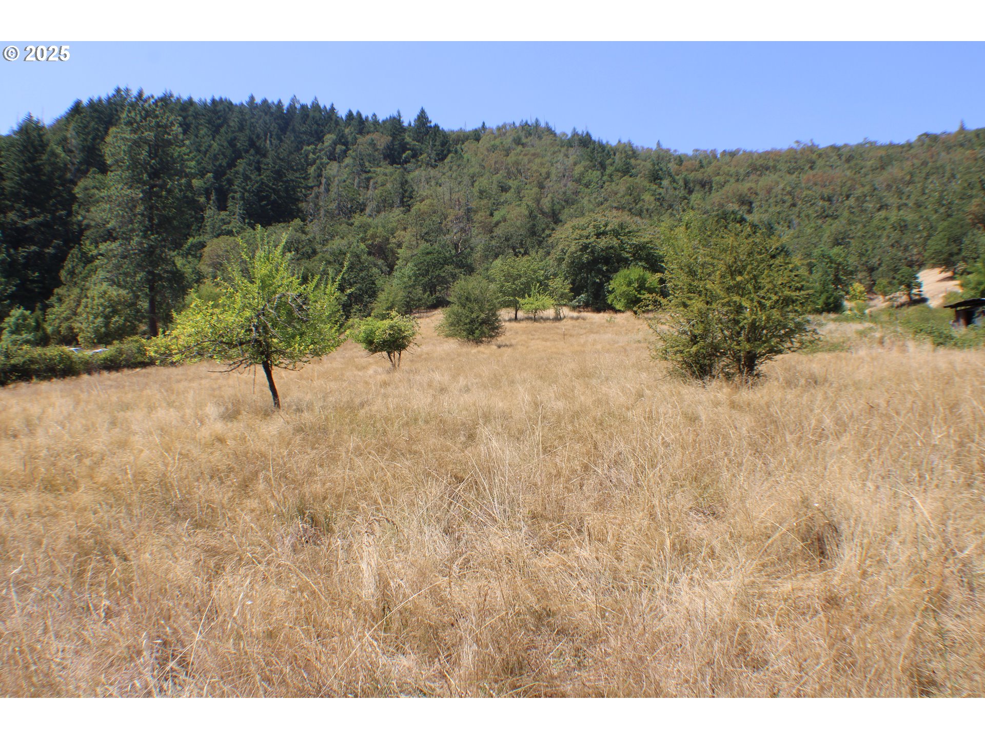 3450 Shoestring Road Riddle, OR 97469 - Photo 40 of 48 a view of a yard