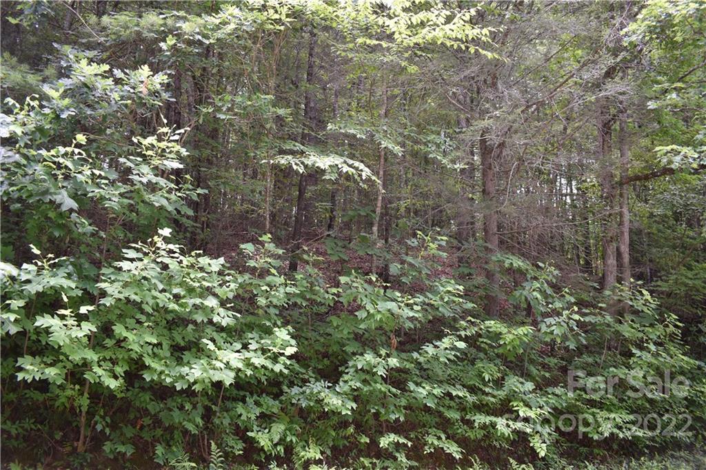 0 Old Neal Road Marion, NC 28752 - Photo 3 of 7 Gallery Image 3