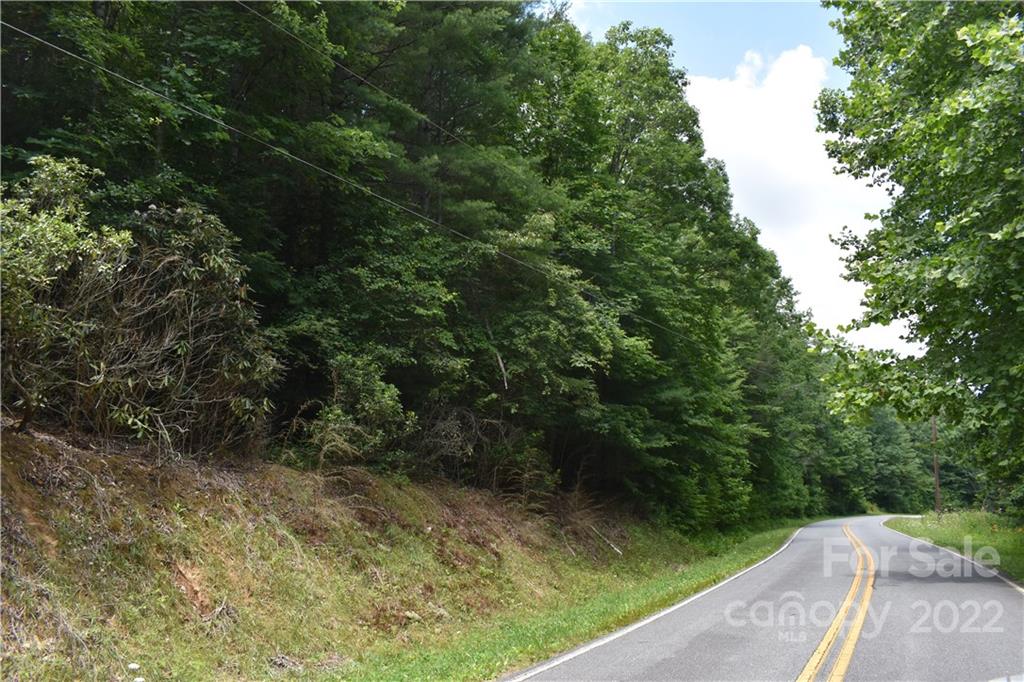 0 Old Neal Road Marion, NC 28752 - Photo 4 of 7 Gallery Image 4