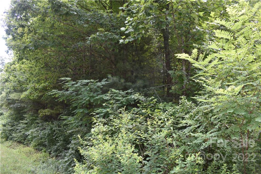 0 Old Neal Road Marion, NC 28752 - Photo 5 of 7 Gallery Image 5