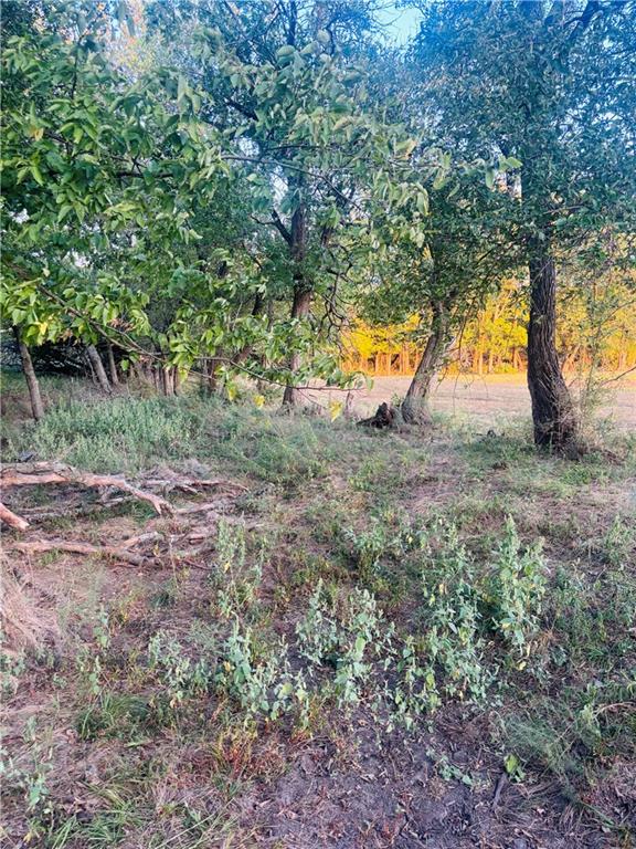 1481 135th Street Fort Scott, KS 66701 - Photo 33 of 81