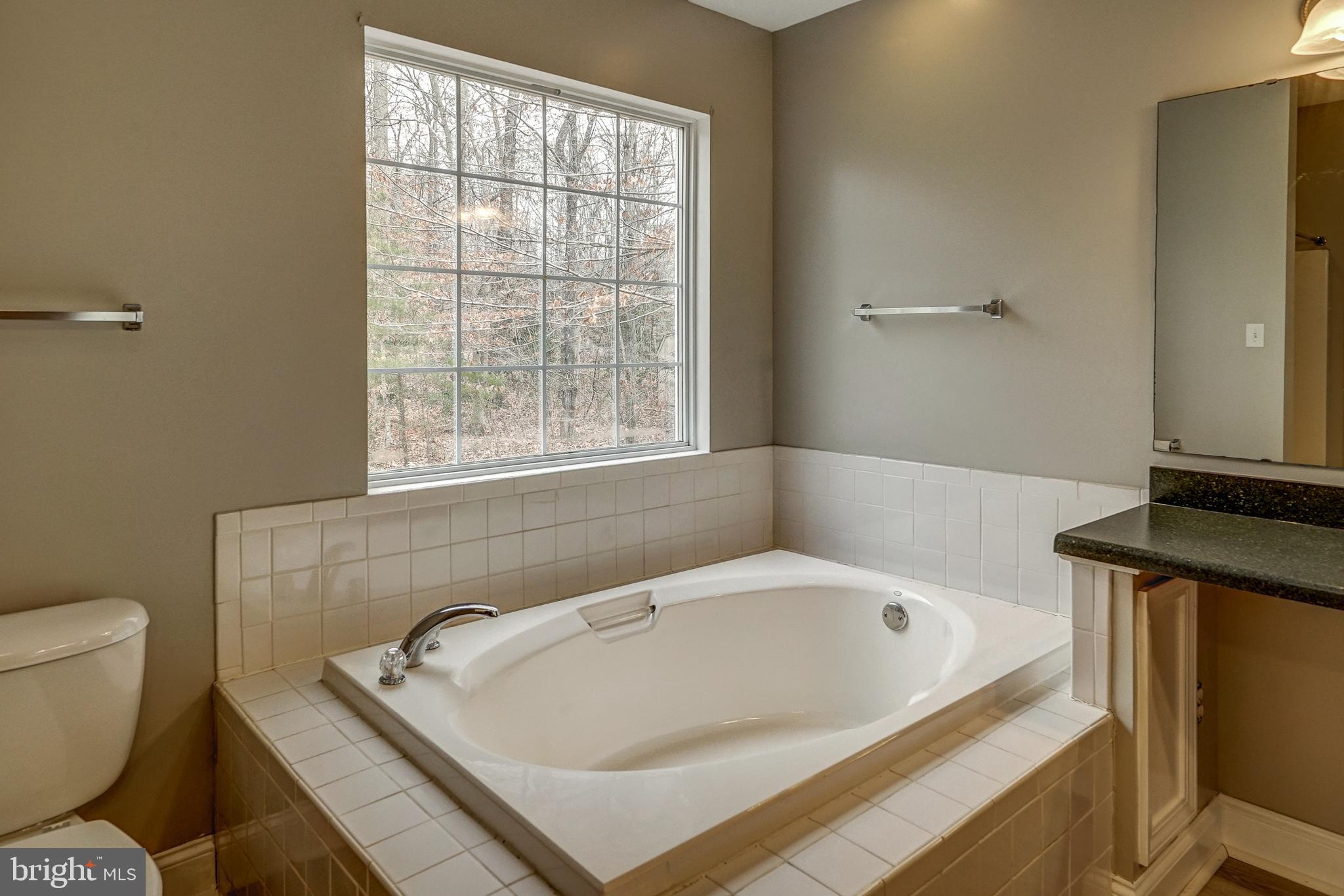 1036 Apple Grove Road Mineral, VA 23117 - Photo 28 of 46