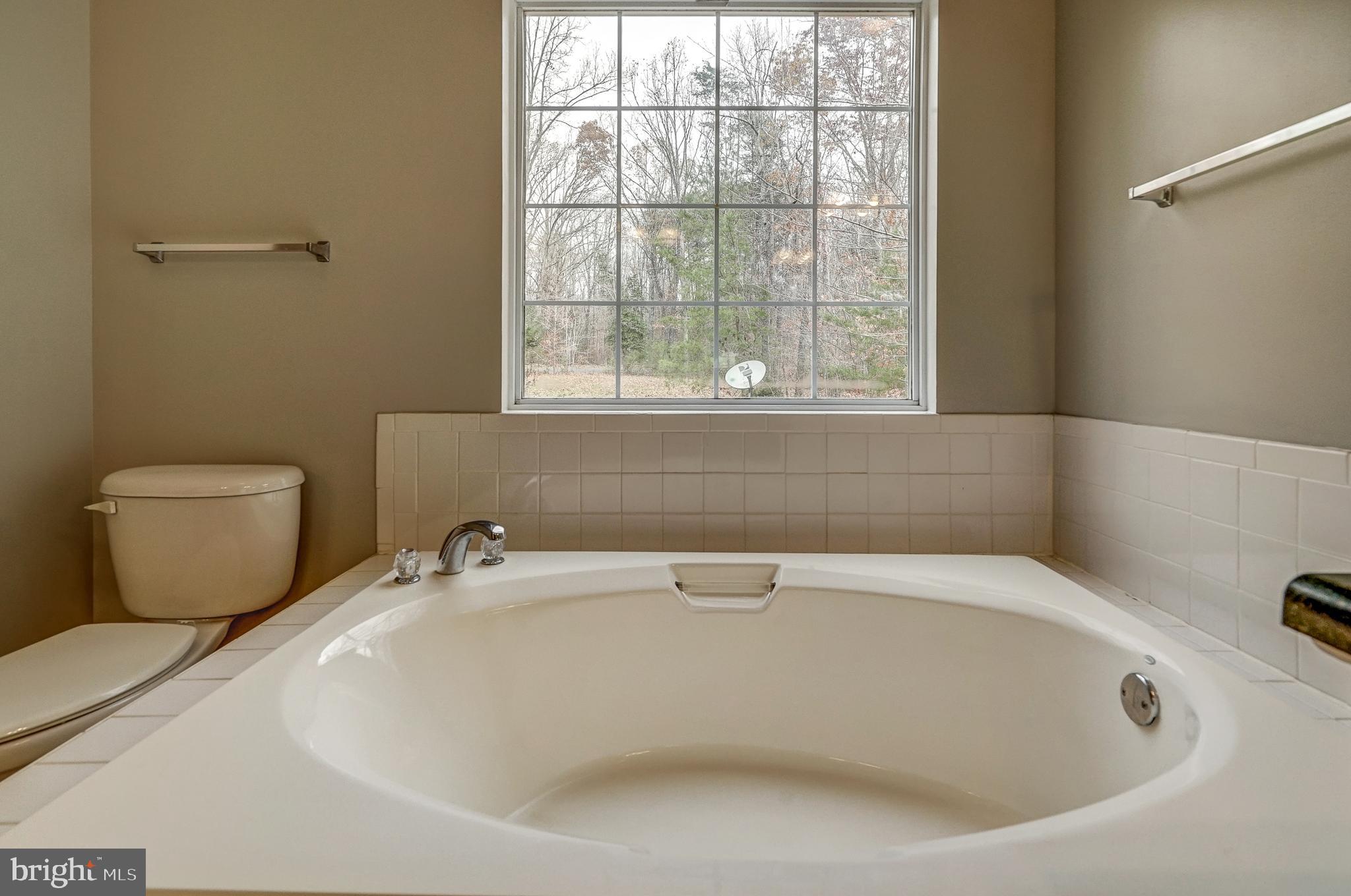 1036 Apple Grove Road Mineral, VA 23117 - Photo 29 of 46