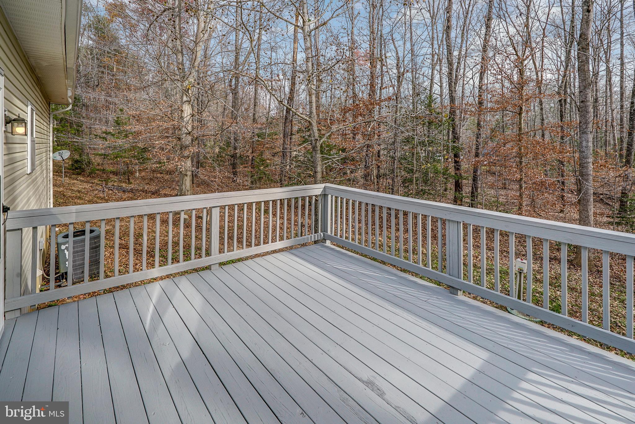 1036 Apple Grove Road Mineral, VA 23117 - Photo 44 of 46