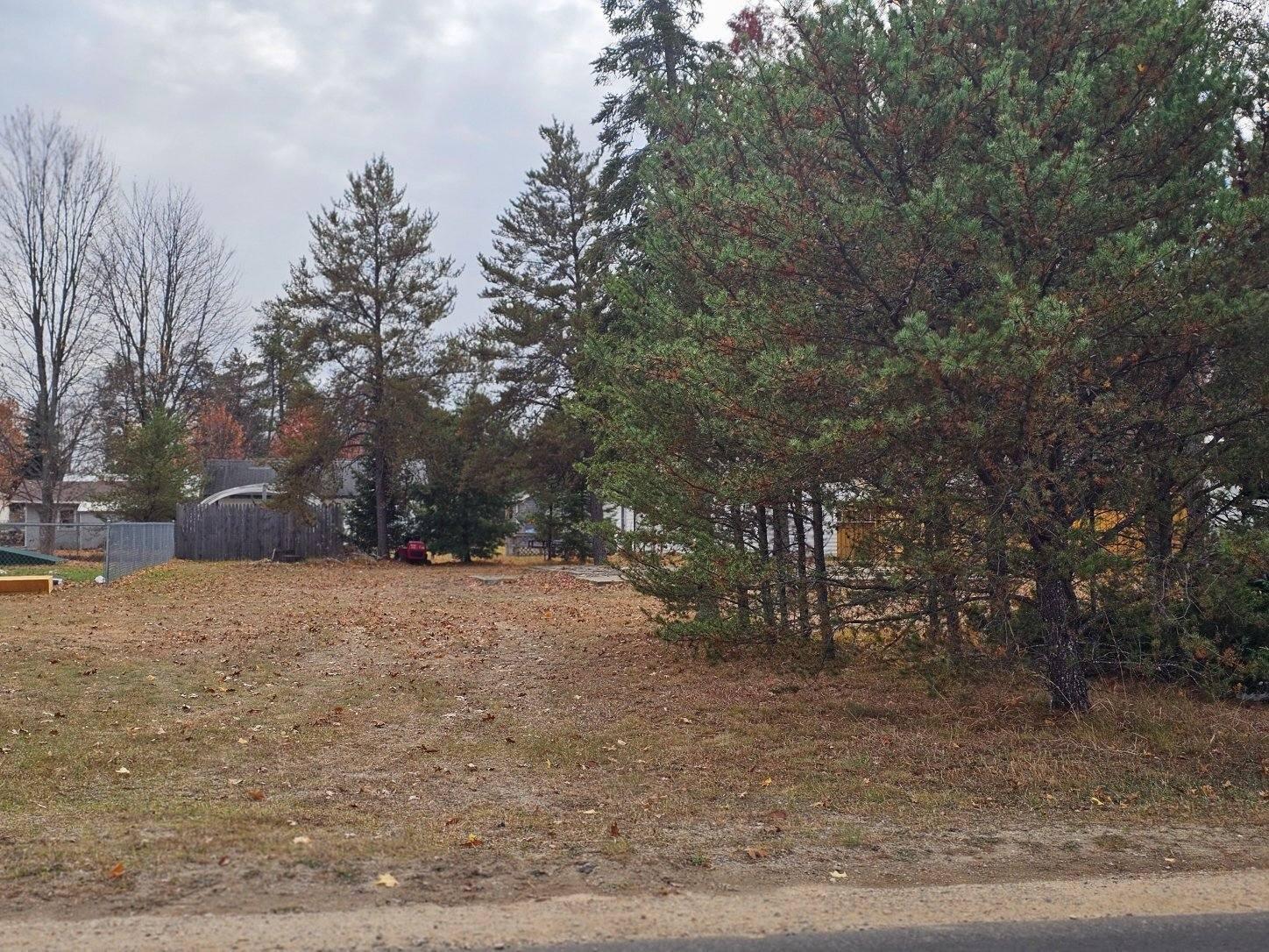 10312 East Carter Road St. Helen, MI 48656 - Photo 2 of 5 image000001