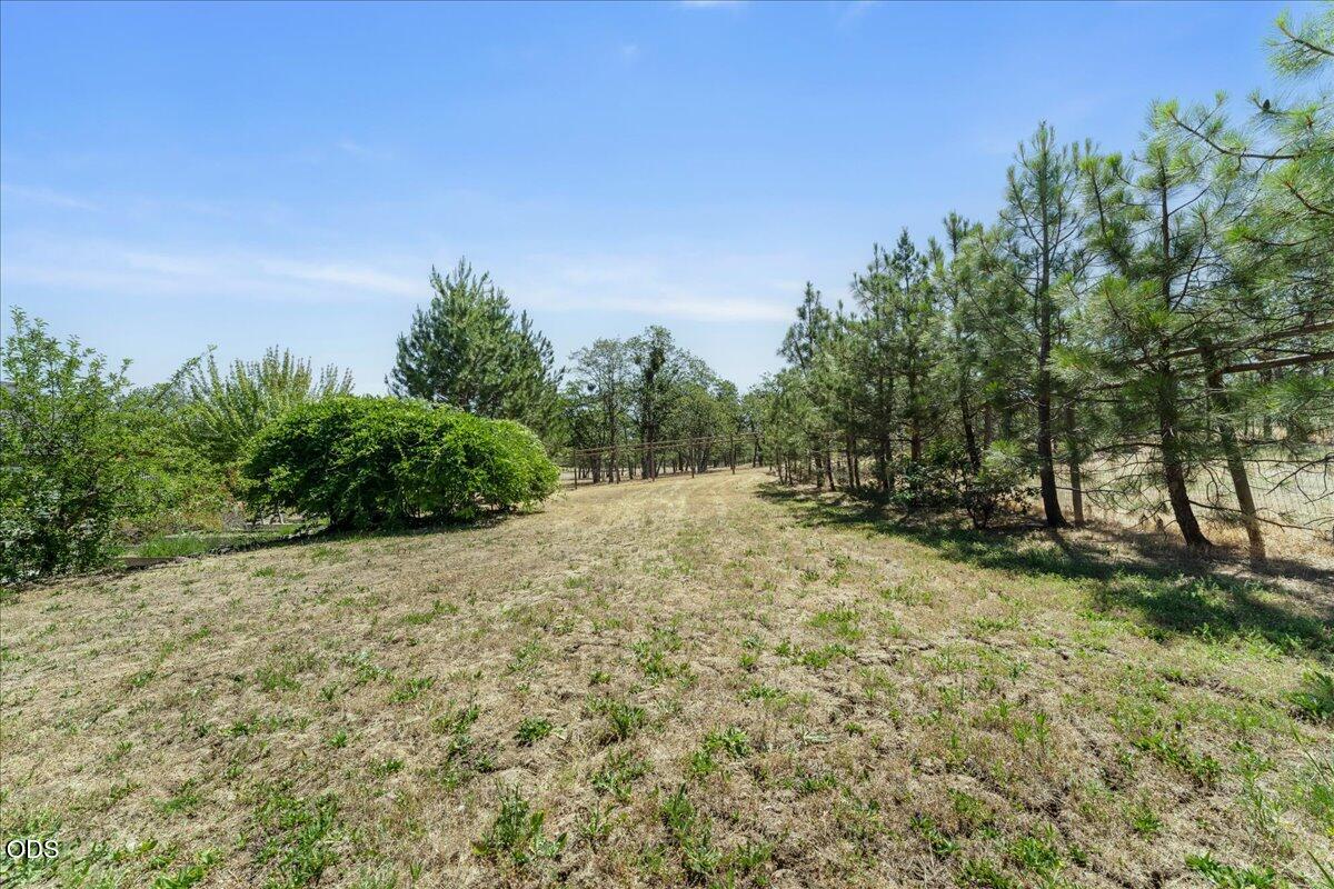 1712 Stevens Road Eagle Point, OR 97524 - Photo 44 of 63