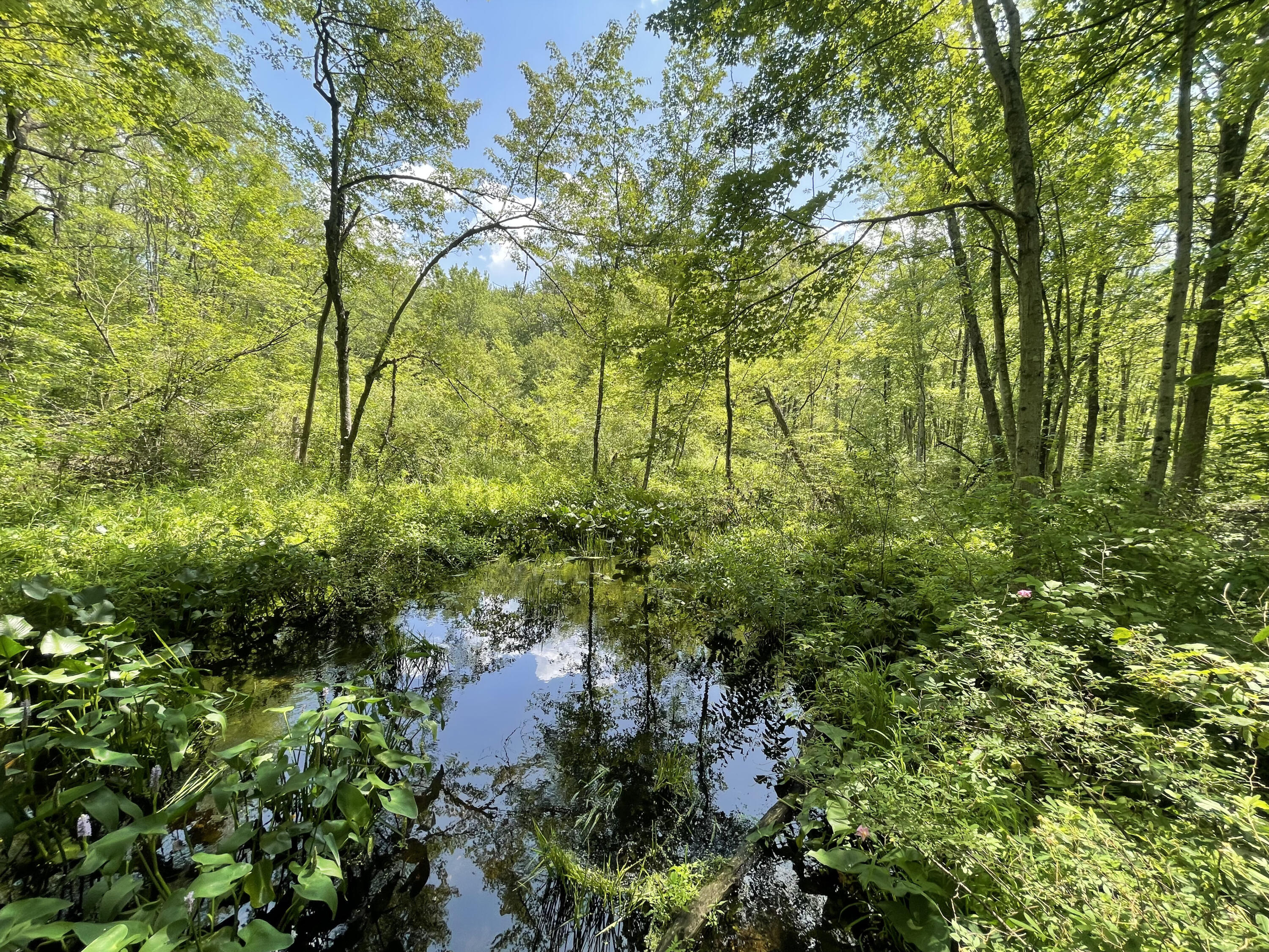 2400 Tobias Road Delton, MI 49046 - Photo 56 of 62 IMG_0913