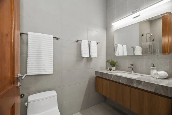 a bathroom with a toilet a sink and mirror