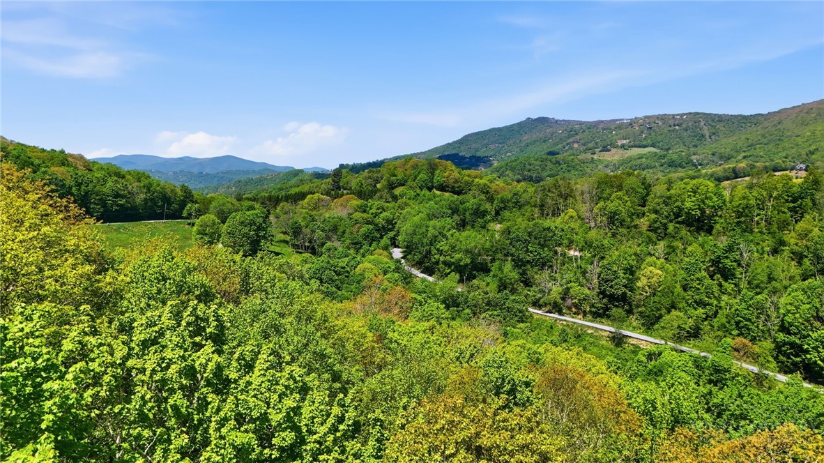 Lot #28 Snowridge Road Banner Elk, NC 28604 - Photo 8 of 8 Gallery Image 8