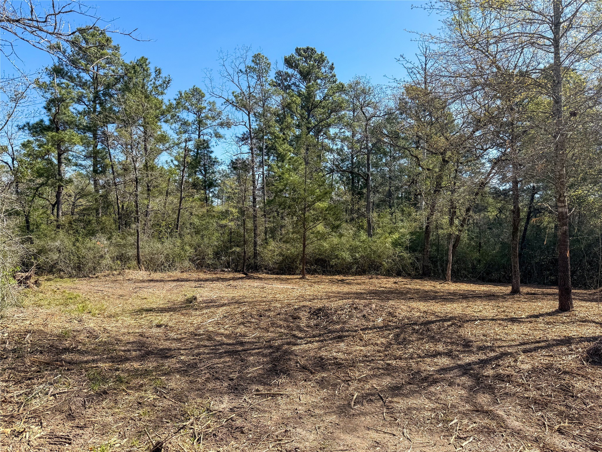 Tbd Round Prairie Road Huntsville, TX 77320 - Photo 14 of 25 a view of outdoor space with trees
