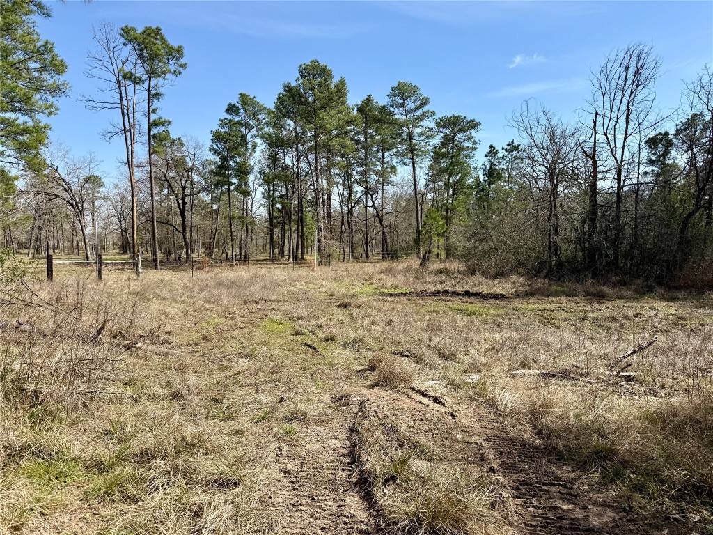 Tbd Round Prairie Road Huntsville, TX 77320 - Photo 15 of 25