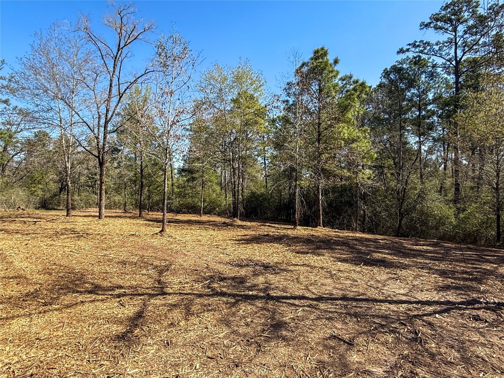 Tbd Round Prairie Road Huntsville, TX 77320 - Photo 16 of 25