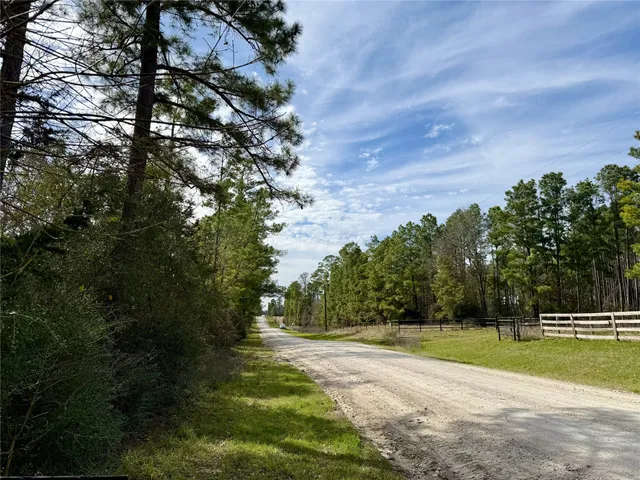 a view of a yard with plants and trees