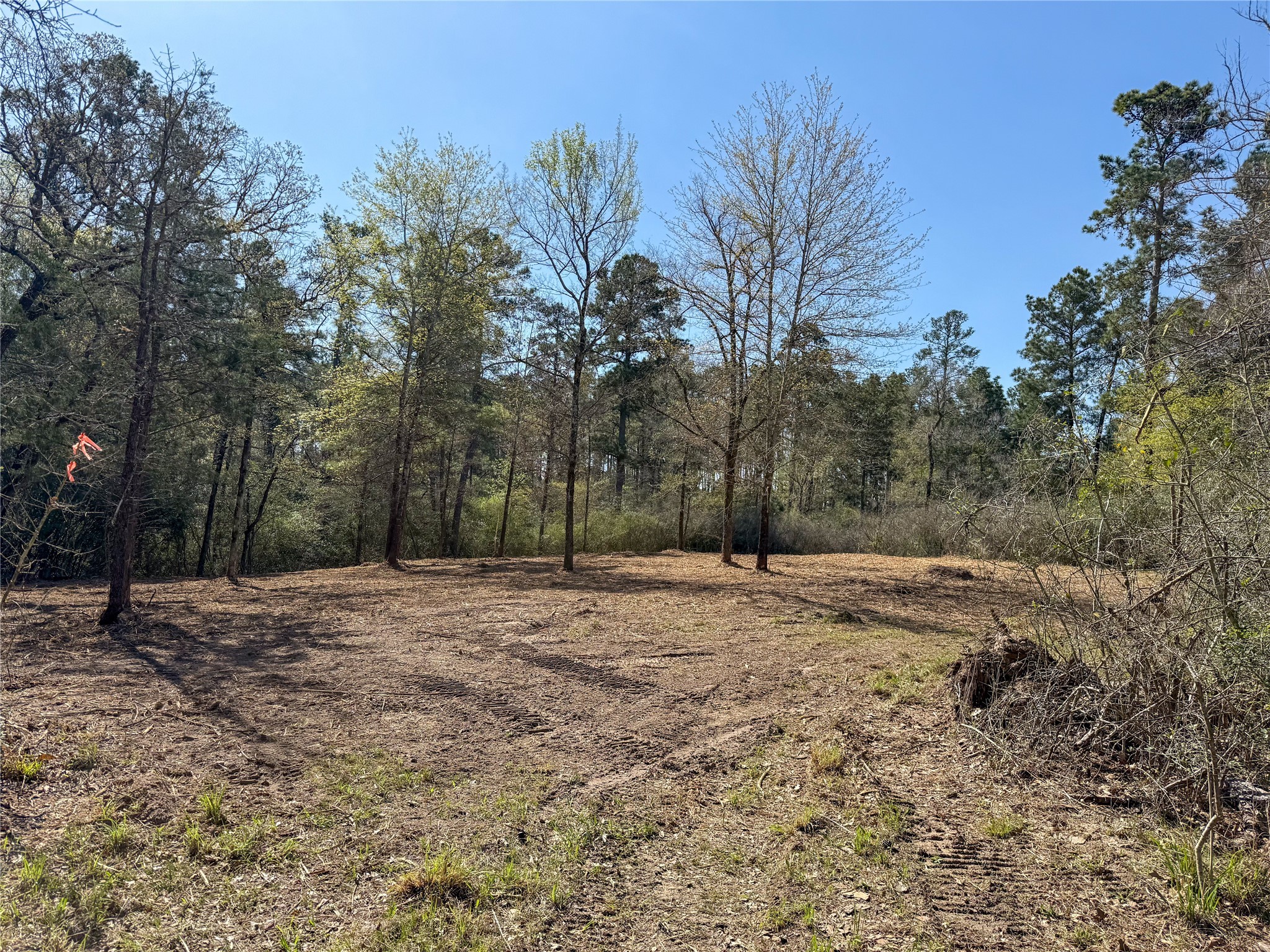 Tbd Round Prairie Road Huntsville, TX 77320 - Photo 20 of 25