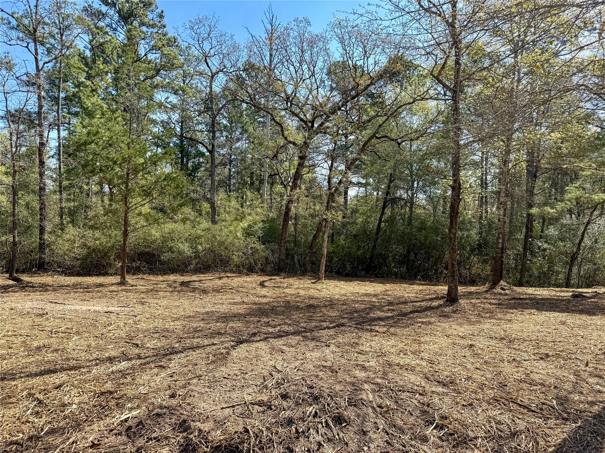 Tbd Round Prairie Road Huntsville, TX 77320 - Photo 2 of 25 a view of outdoor space with trees