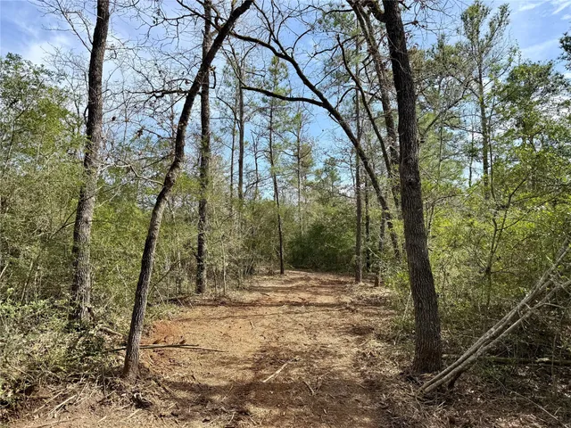 $150,000 | Tbd Round Prairie Road, Huntsville, TX 77320