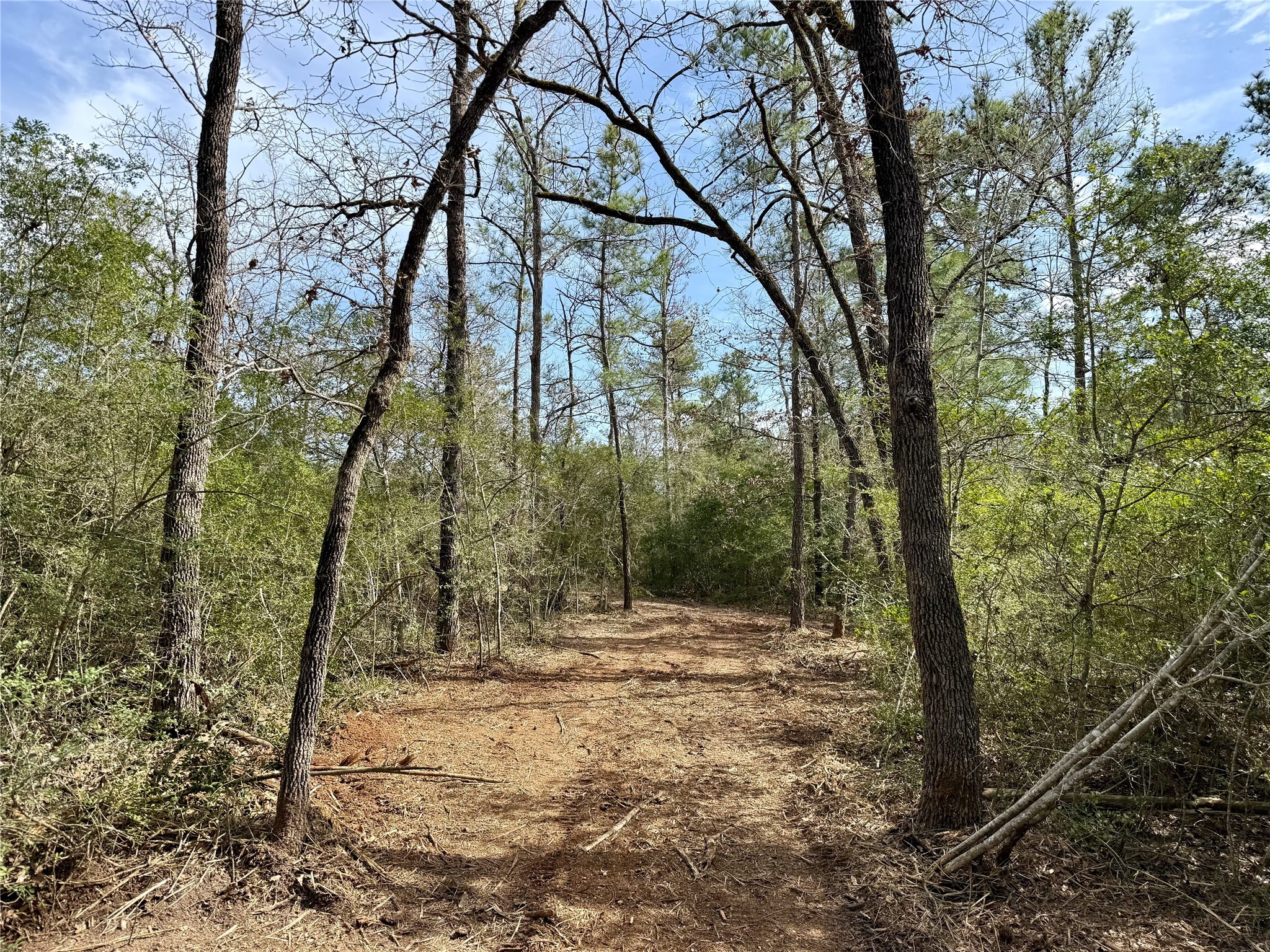 Tbd Round Prairie Road Huntsville, TX 77320 - Photo 23 of 25 a view of outdoor space and yard