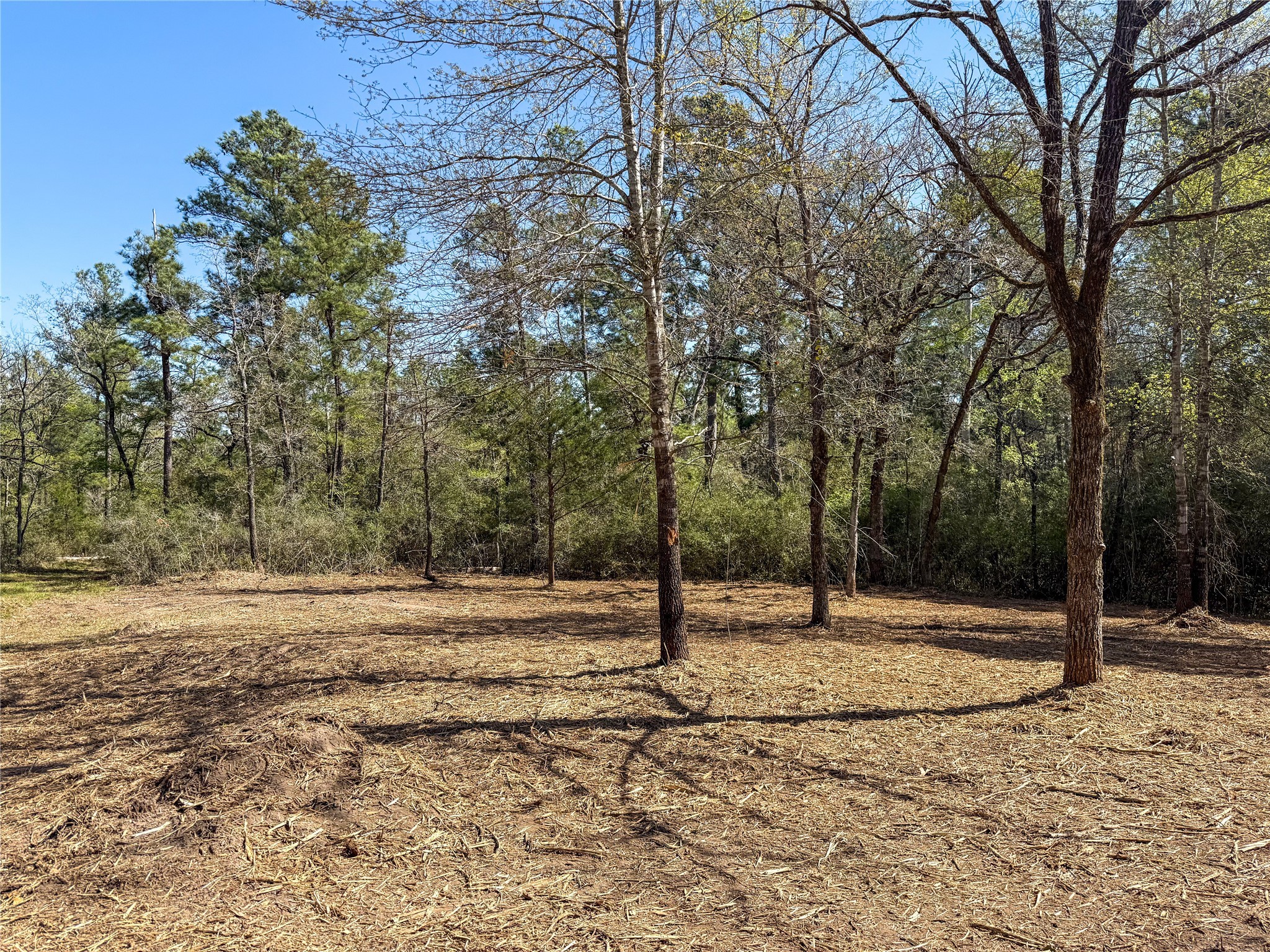 Tbd Round Prairie Road Huntsville, TX 77320 - Photo 3 of 25 a backyard of a house with lots of trees