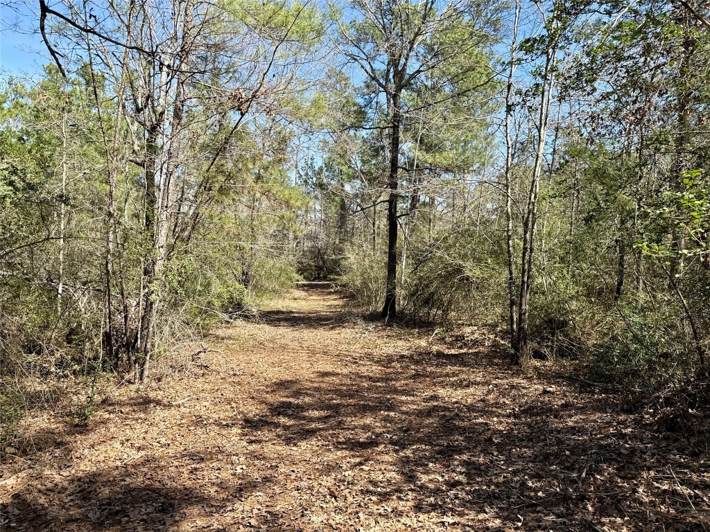 Tbd Round Prairie Road Huntsville, TX 77320 - Photo 4 of 25