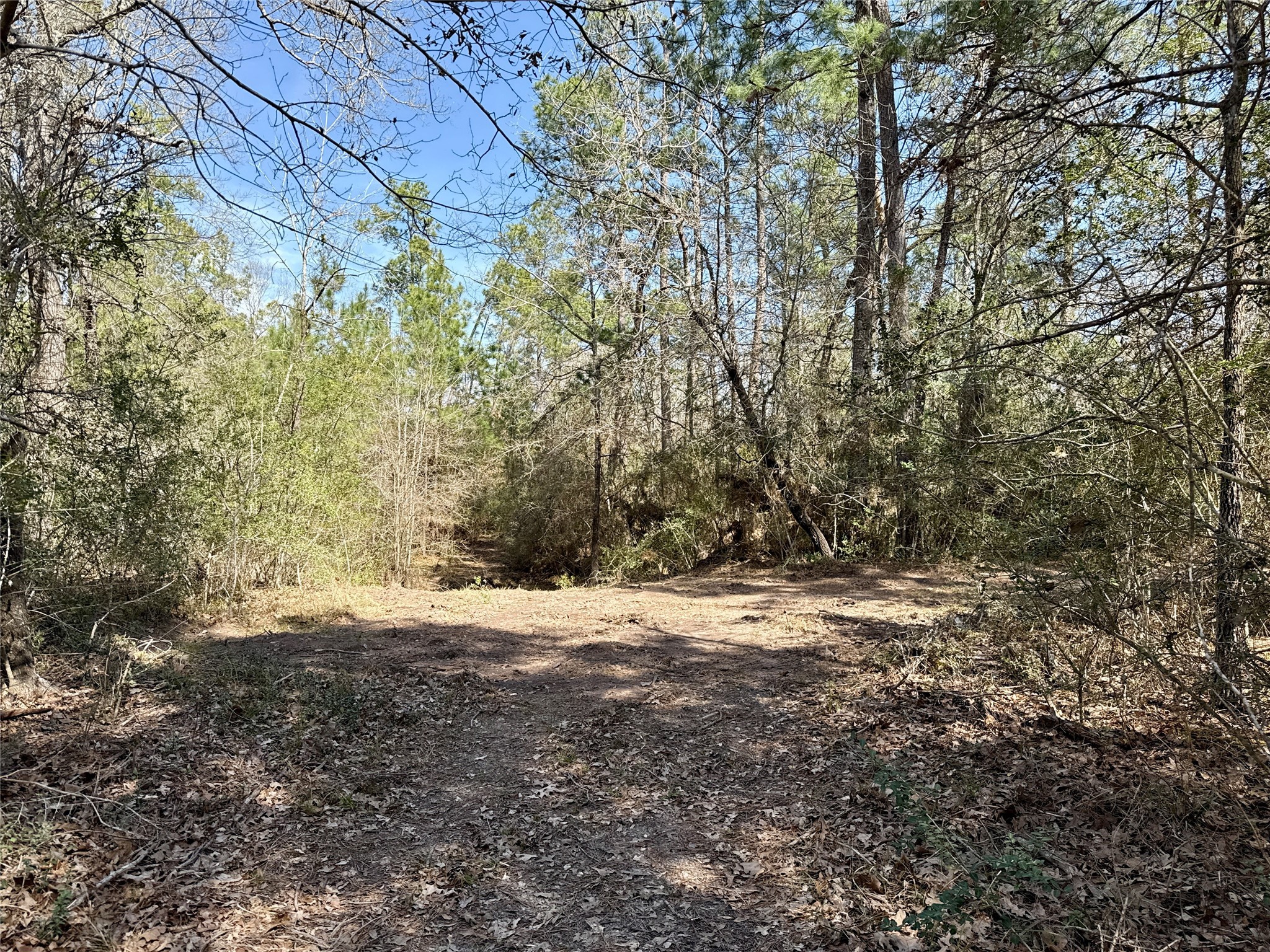 Tbd Round Prairie Road Huntsville, TX 77320 - Photo 5 of 25 a view of dirt field with trees in the background