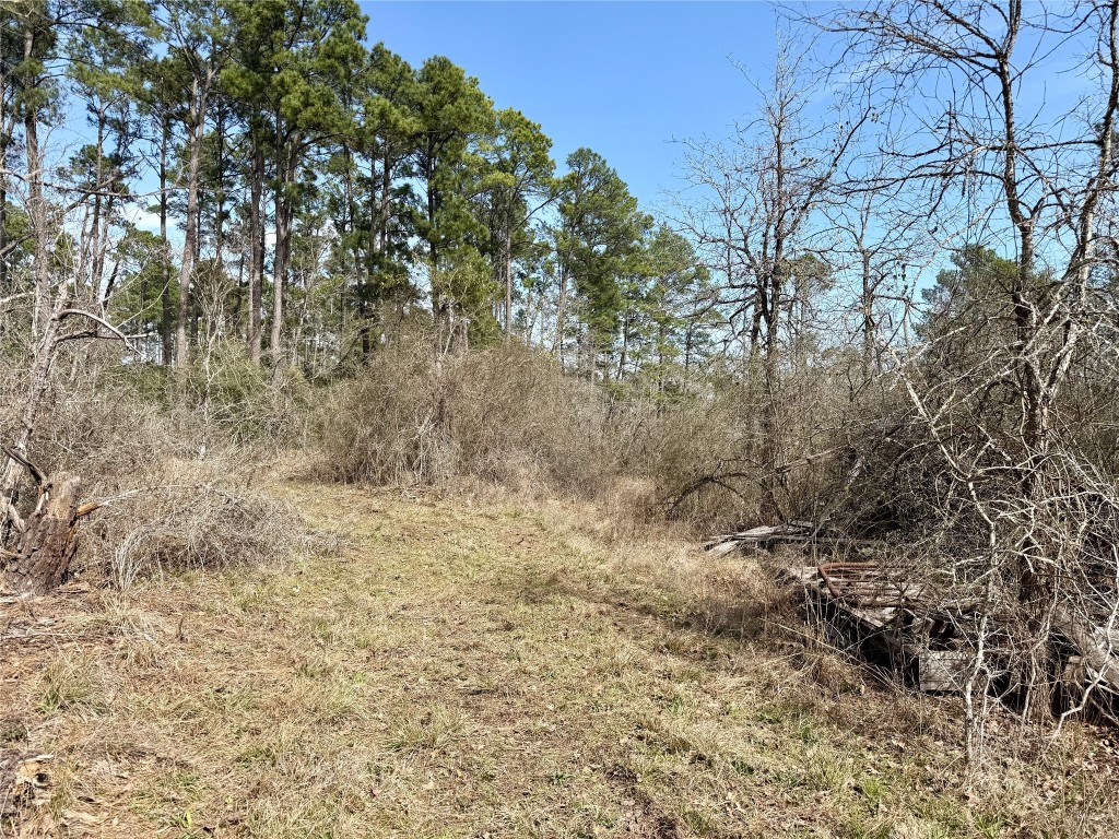 Tbd Round Prairie Road Huntsville, TX 77320 - Photo 6 of 25