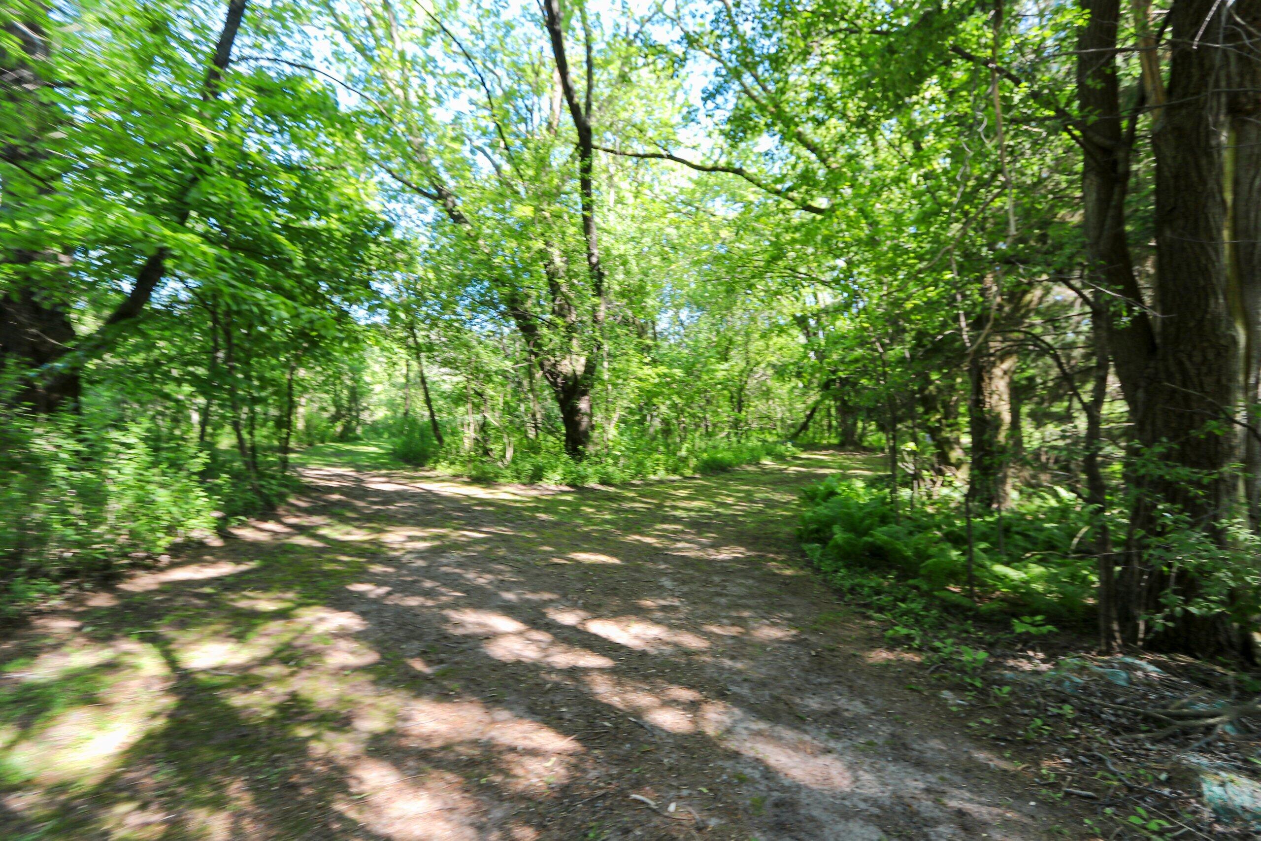 10619 Morgan Road Cato, WI 54230 - Photo 79 of 101 024-10619MorganRoad-Reedsville-WI-54230-