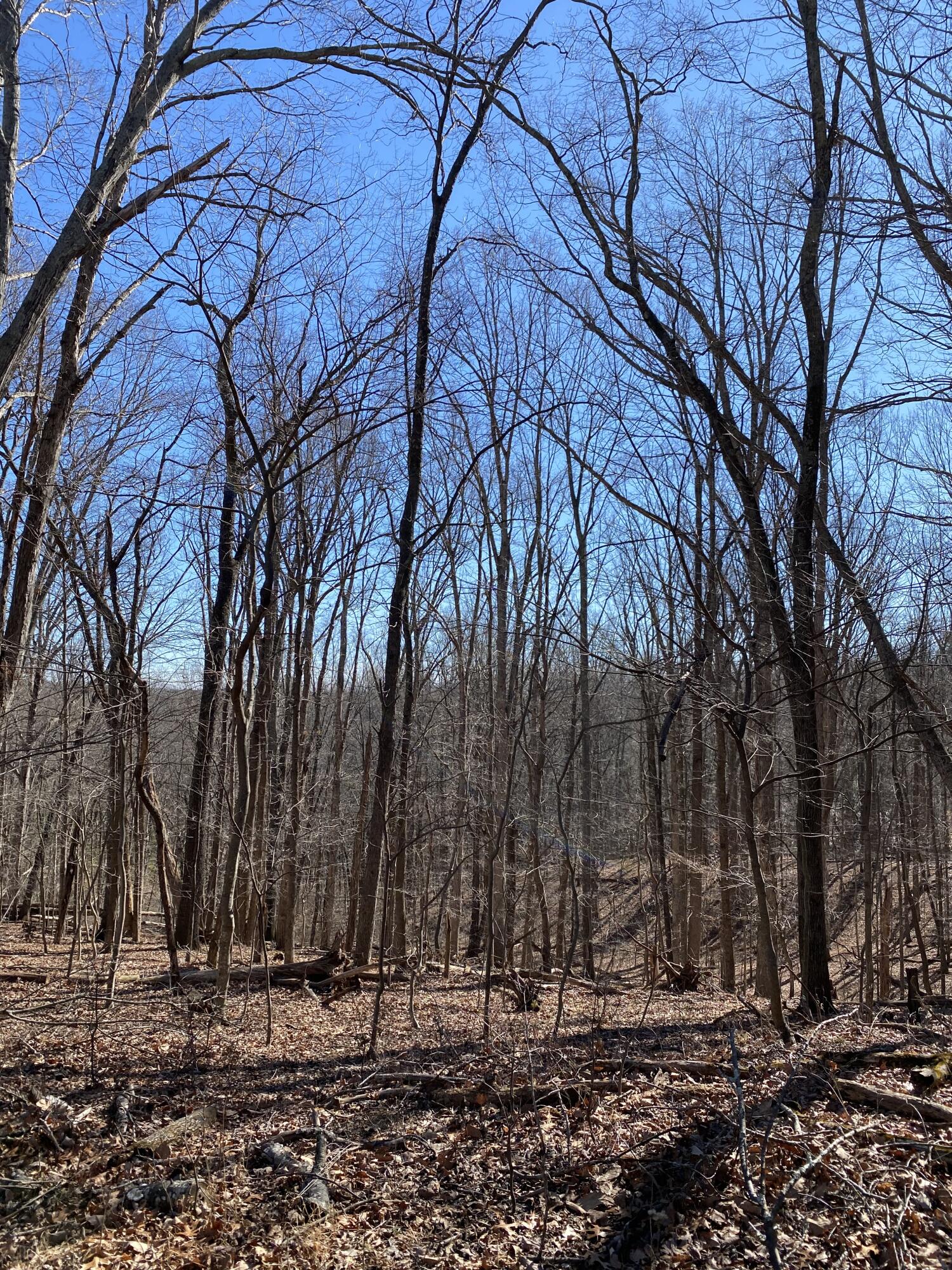 Lot 5 Deerfield Road Hardy, VA 24101 - Photo 2 of 3 IMG_0176