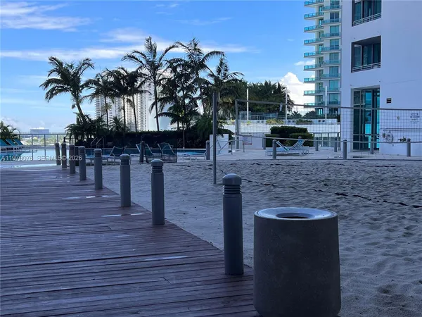 a outdoor space with lots of palm trees