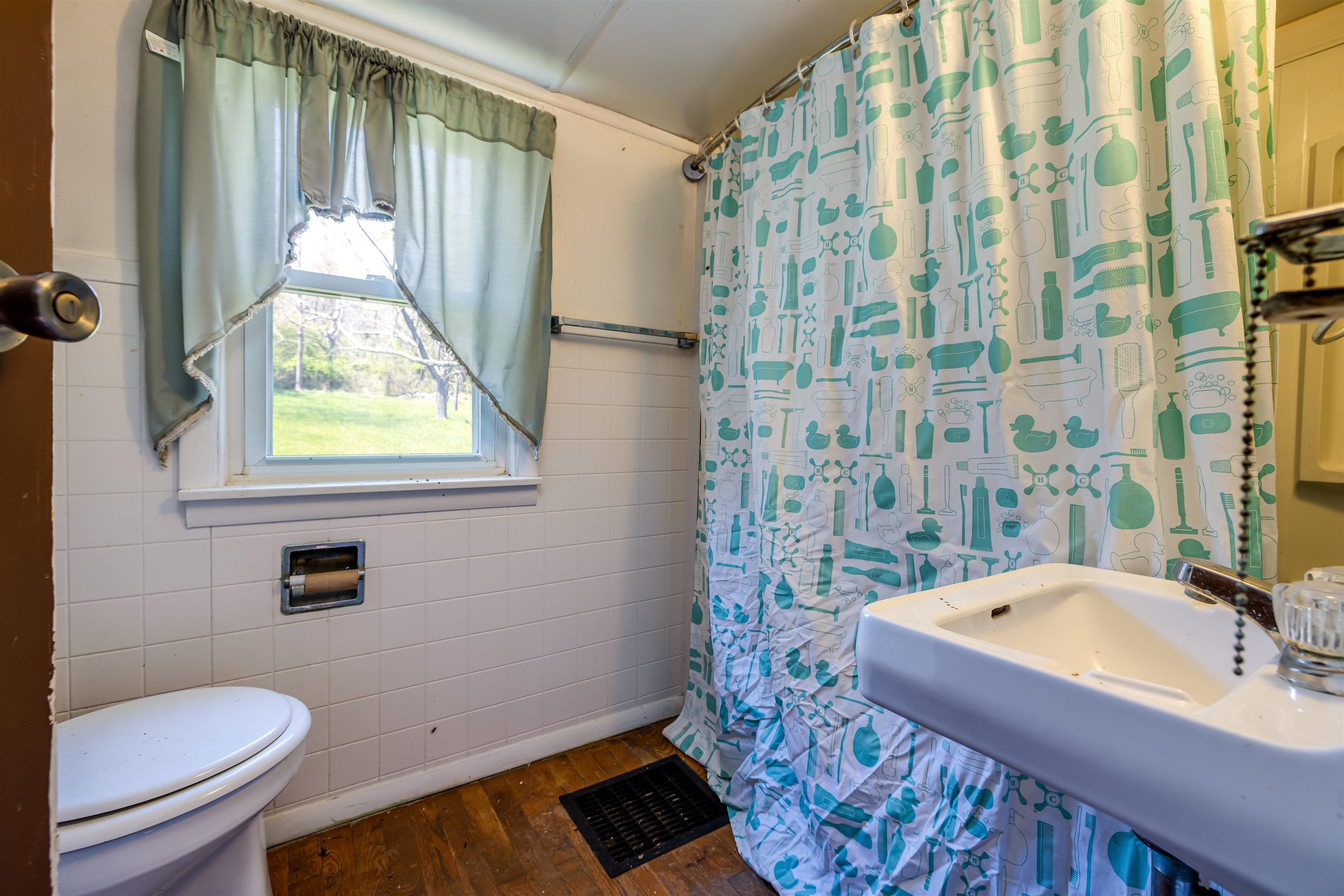 1476 Egypt Bend Road Luray, VA 22835 - Photo 36 of 74 a bathroom with a sink a toilet and shower curtain