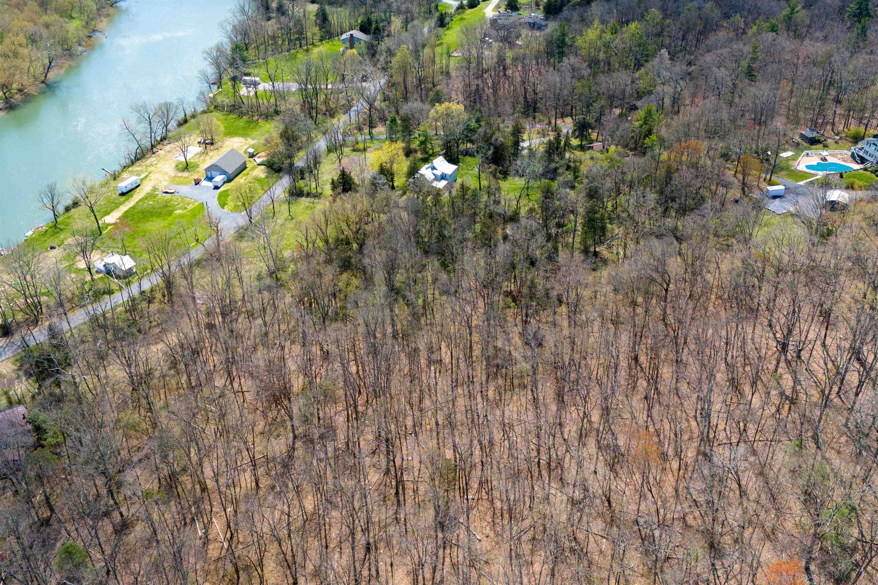 1476 Egypt Bend Road Luray, VA 22835 - Photo 59 of 74 a view of a flower