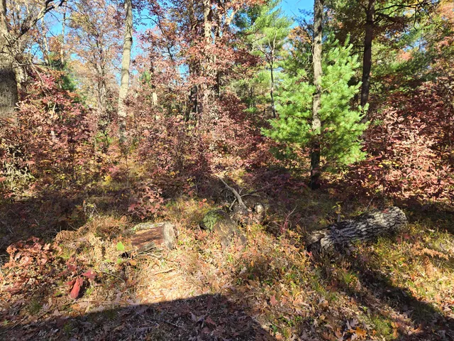 $57,000 | M37 St Baldwin Mi 49304, Baldwin, MI 49304