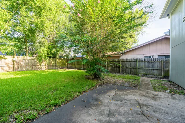 a view of a yard with a large tree
