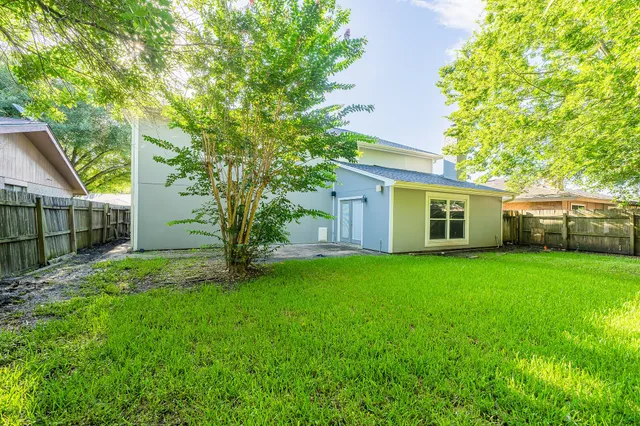 a view of a backyard with plants and large trees