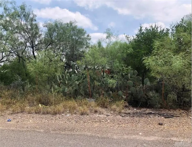 a view of a yard with a tree