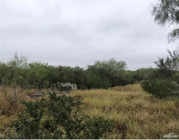 a view of a field of grass and trees