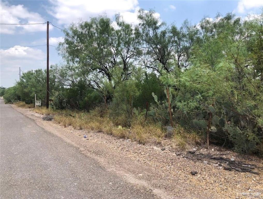 0 North Ebony Avenue Roma, TX 78584 - Photo 4 of 6 a view of a dirt road with trees in the background