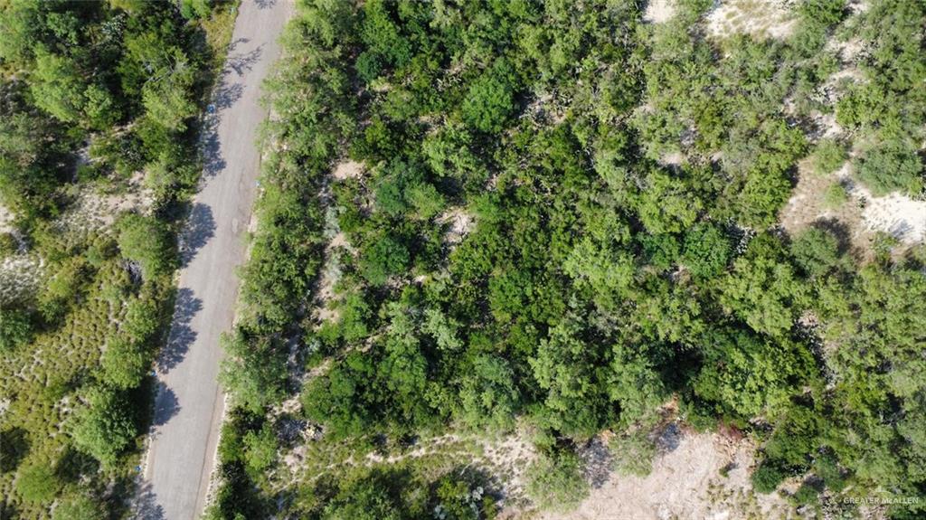 0 North Ebony Avenue Roma, TX 78584 - Photo 6 of 6 a view of a forest with a tree