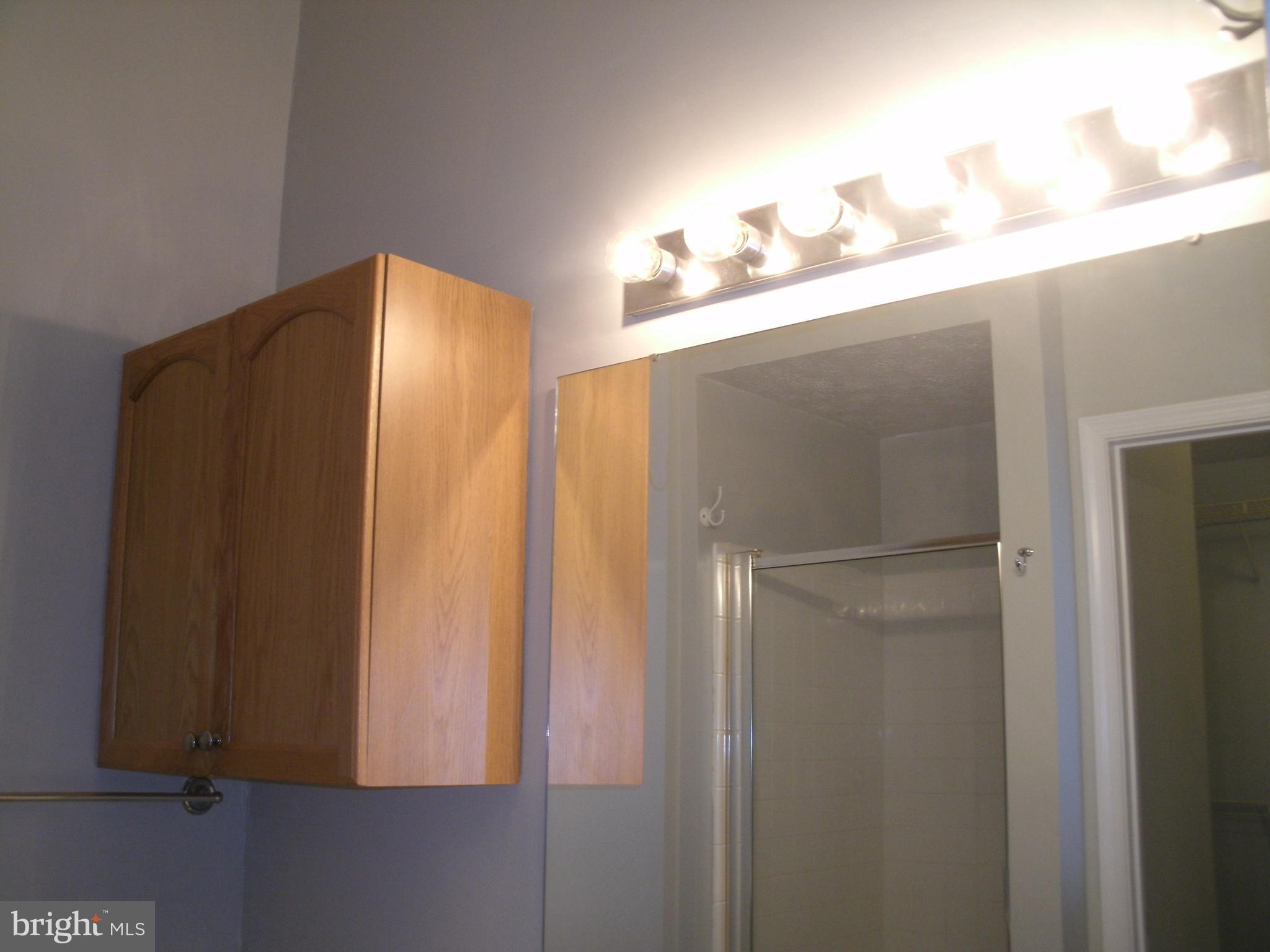 713 Summer Ridge Court Odenton, MD 21113 - Photo 16 of 30 Bath