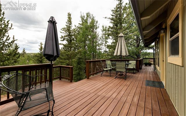 113 Spring Valley Circle Divide, CO 80814 - Photo 16 of 23 Gallery Image 16