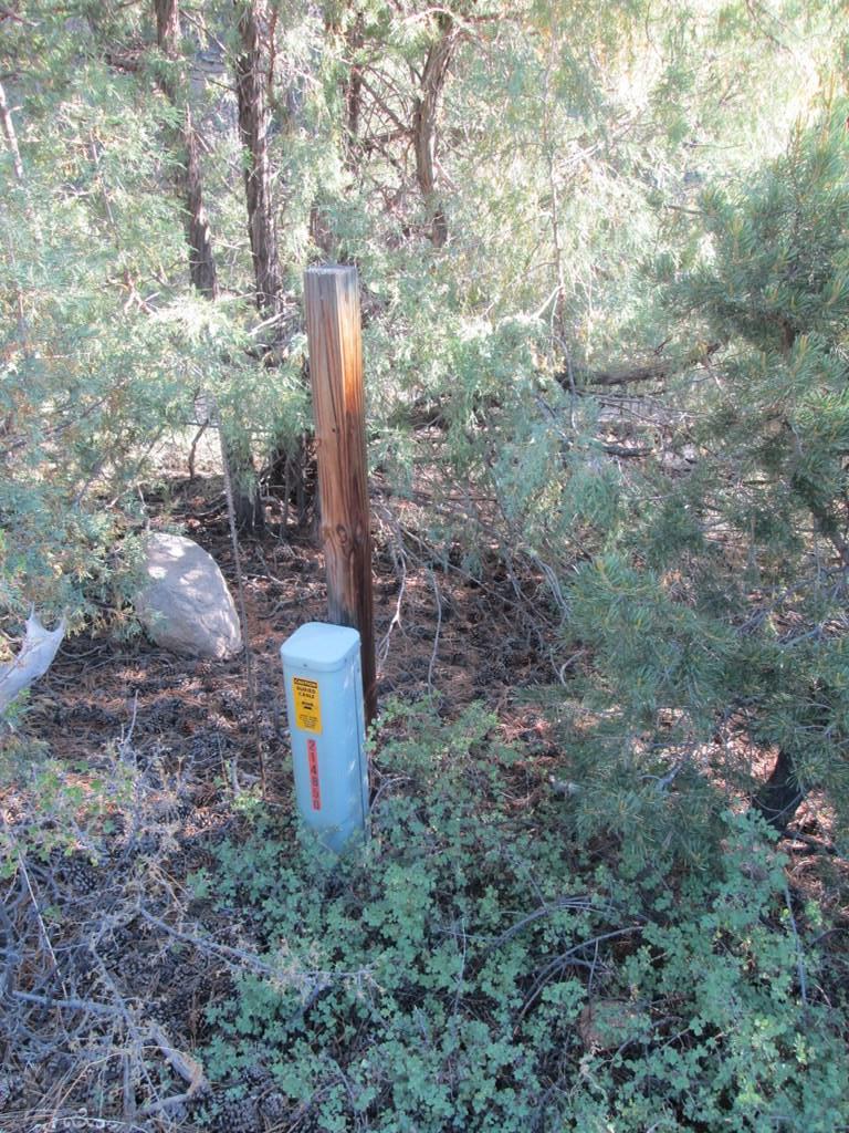 Lot #2 Milligan Ranch Gardner, CO 81040 - Photo 16 of 35 a view of a forest with large trees