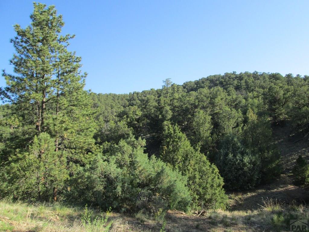 Lot #2 Milligan Ranch Gardner, CO 81040 - Photo 18 of 35 a view of a forest with a street